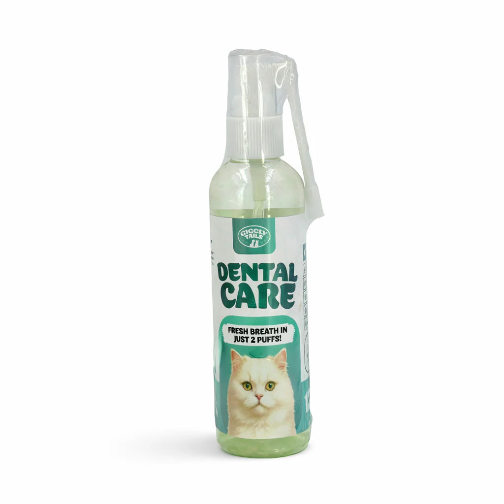 Dental Care for cats
