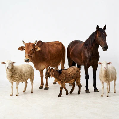 Livestock