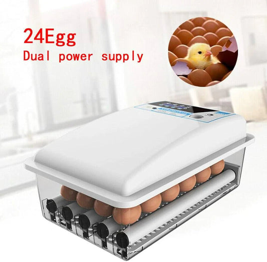 24 eggs Fully Automatic Incubator AC/DC