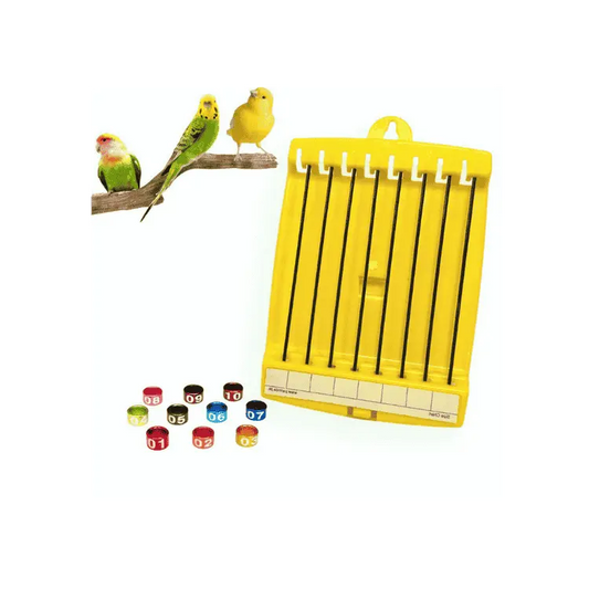 Bird Ring Holder