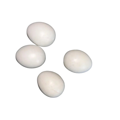 Birds Dummy Eggs
