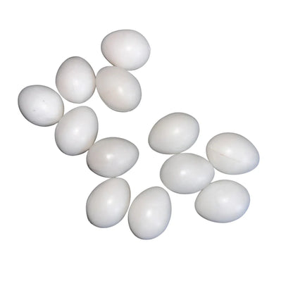 Birds Dummy Eggs