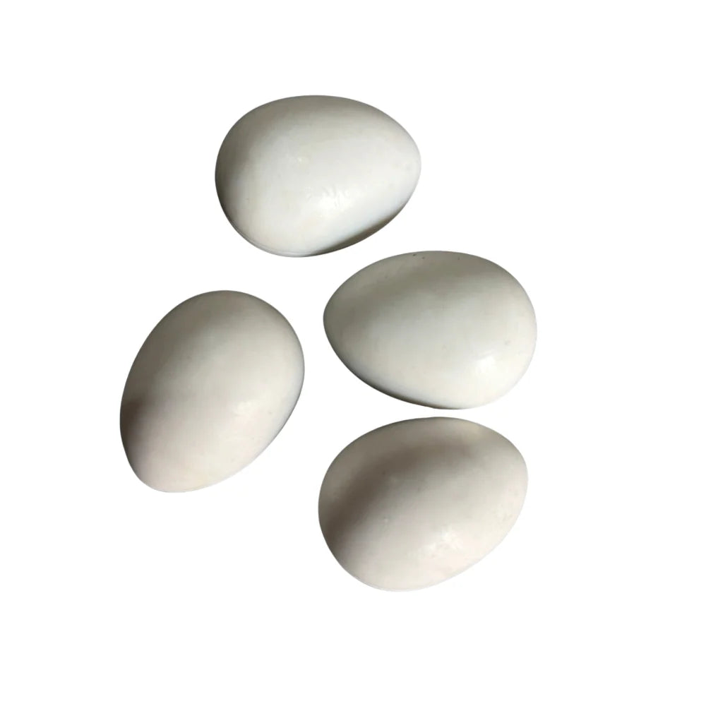 Birds Dummy Eggs