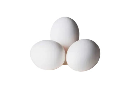 Birds Dummy Eggs