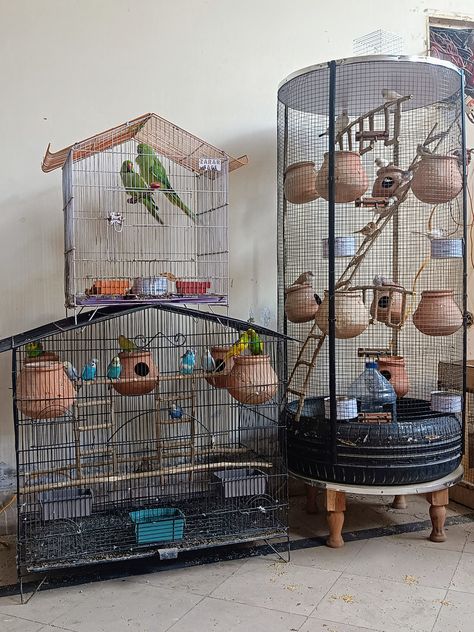 Customised Iron Cages with Accessories & Toys for Birds, Livestock & Pets