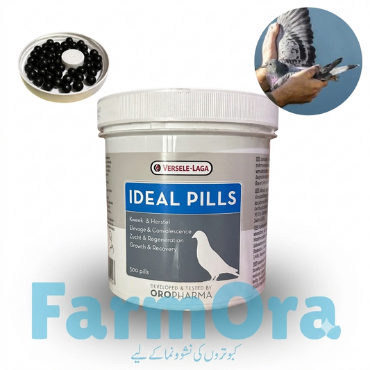 IDEAL PILLS (کبوتروں کی نشوونما کے لیے)