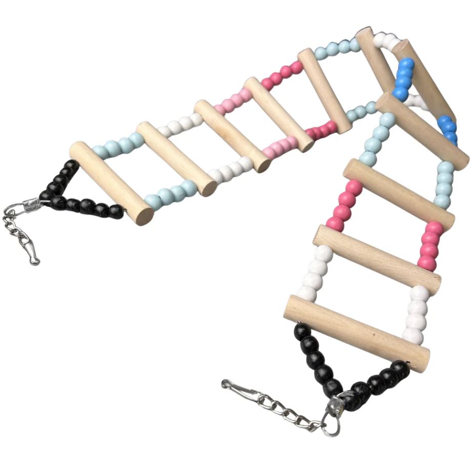 Ladder Toys