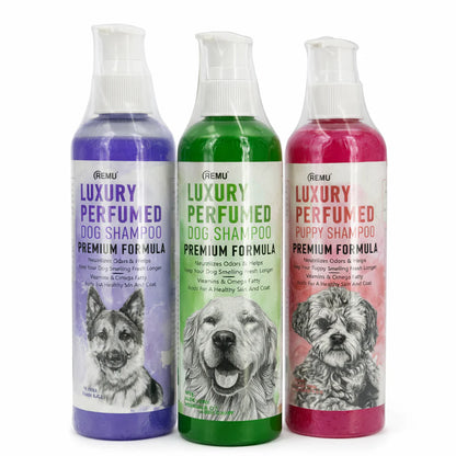 Luxury Perfumed Dog Shampoo