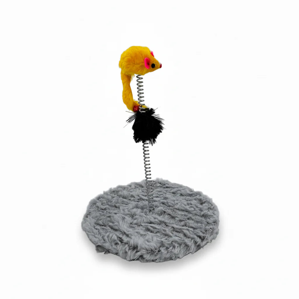 Mouse Spring Scratcher For Pets