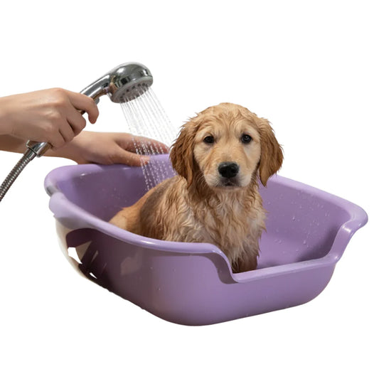Paw Comfort Litter tray xxl