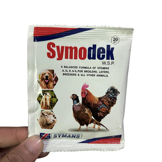 SYMODEK (وٹامن سپلیمنٹ کمزوری اور نشوونما کے لیے)