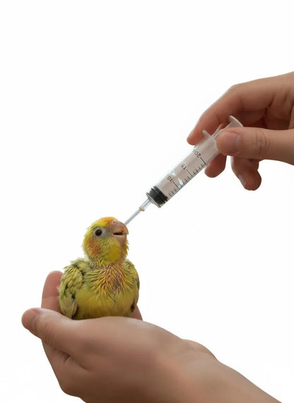 TTC Feeding Syring