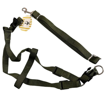 Chest Harness
