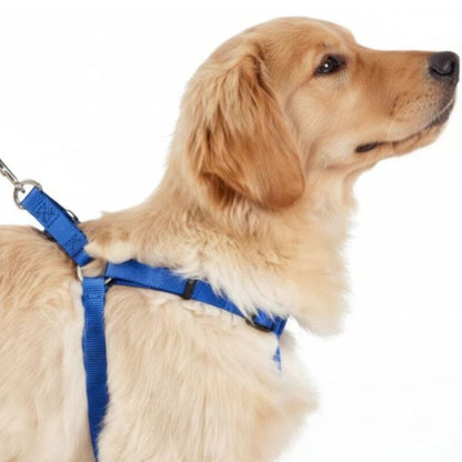 Chest Harness