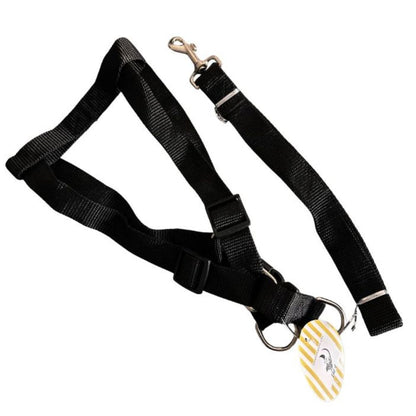 Chest Harness